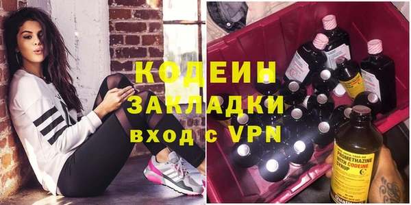 прущие грибы Ельня