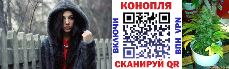 Бошки марихуана индика  как найти наркотики  Салехард 